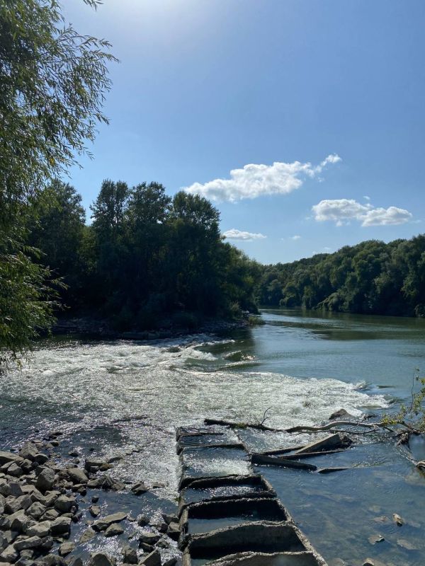 ����� ������������� ����� � ��������� ����� �������� �� ����� ������� ������ ������ ��� ����������