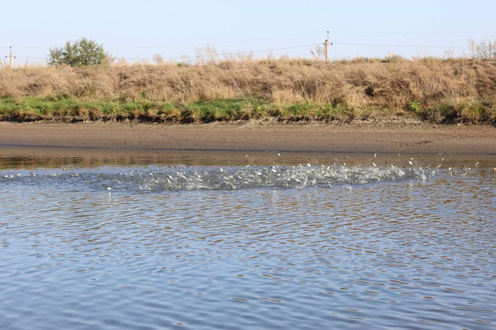 ��� 4 ����� ���������� ������ �����, ������ � �������� ���������� ��������� � ������������ �������������