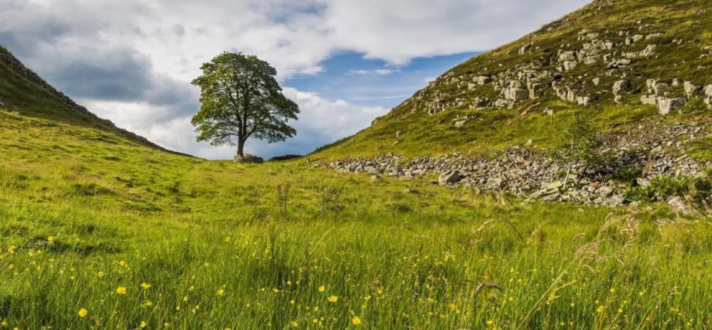 � ���������� �������������� ��������� ������ ������ ����� ���� � ���� �� ����� ��������� � ������