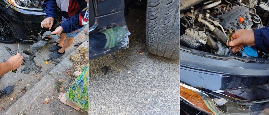 �������� ���������� ������ � �������� ������� ��������������� ���� � ��������