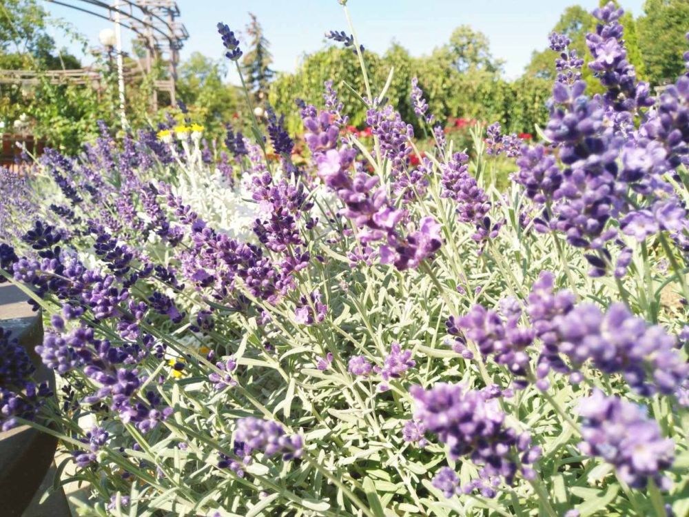 ������ ����! ������ ����� ����� �������� �� ������ �� ���������