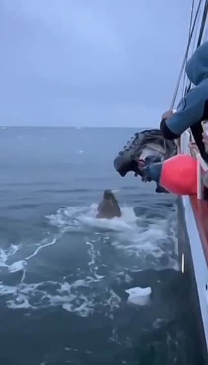 ������������ ������� ��������� ����� ���������� ��������