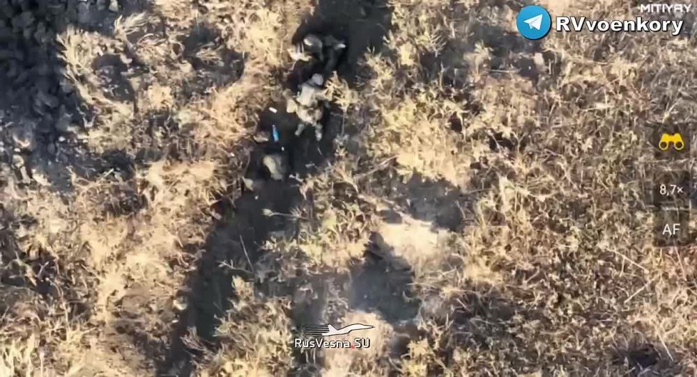 �� ����������� ����������� ���������� ���������� � ������� ������ ���������� ���������� �������� ����� � ������