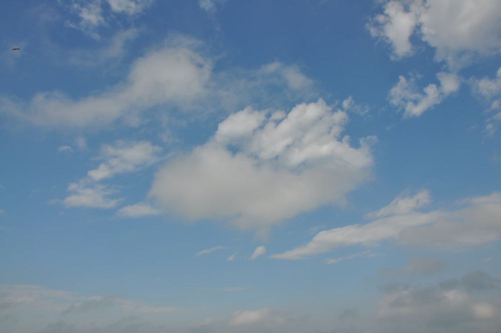 ������� ������. �������, 29 ��������, ��������� ���������� ����������, ��� �������, �������� ��������������� �������������