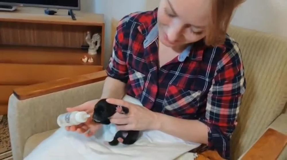 ����� ������!. � �������� �� ������� ����� �������� ������. ������ ��� � ������. ���� ����� � �������, ����� ��������� �������. ����� �� ������� ������� � �����