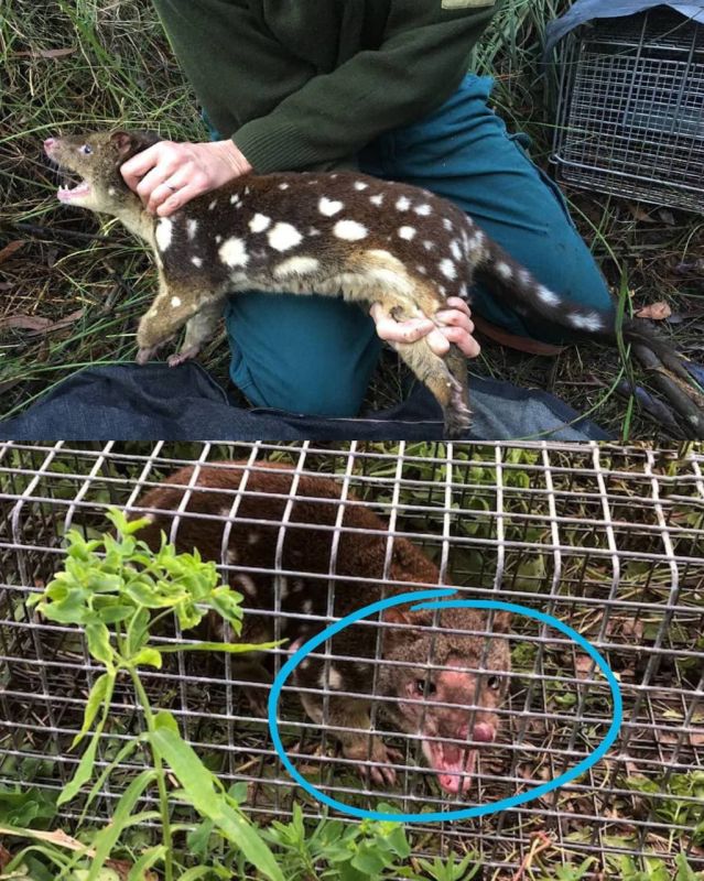 � ��������� ������� ��������� ������, ������� 130 ��� �������� ��������