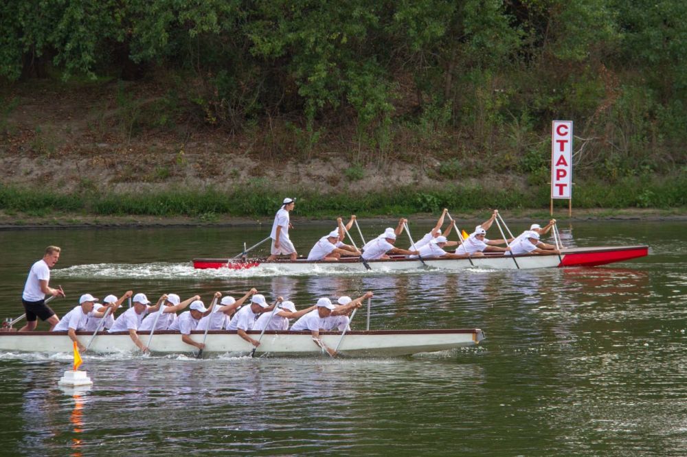 ���� ��� �����, �������� �� ����