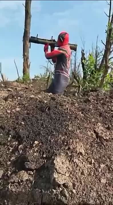 �������-���� �������� ������� ����� � ����� �� ������ � ���� ���