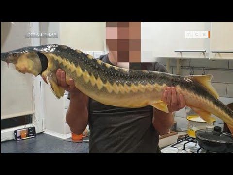 � ������� ������������ �����: � ������� ������� ������. ����� �� ��������, ��� �� ������, � ������� ��������, �� ��� ���...