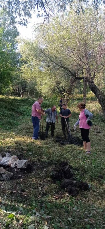 ���� ������ ������� �������� ���������