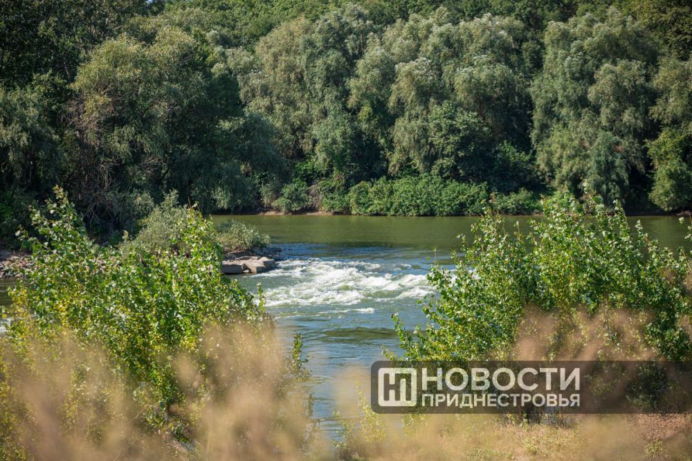 � ������� ������� ����������� ������� ����