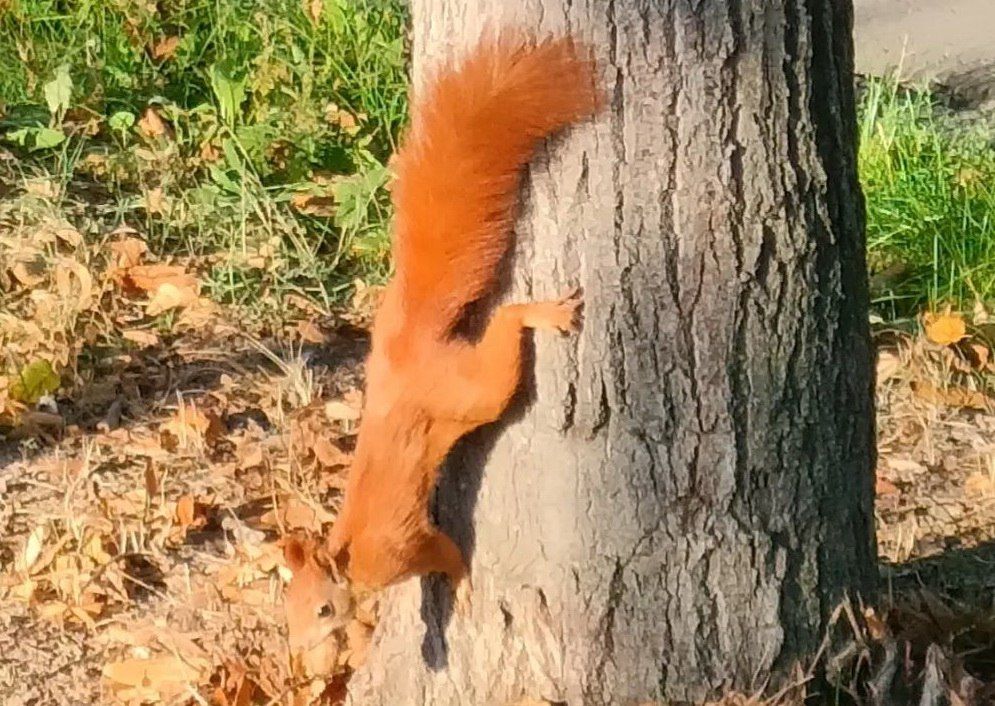 �� ���� ������ ������. �.�. ������ ������, ��� ������ ������ ���� �� �����������. ���� ����������� ��������� ����������� �������