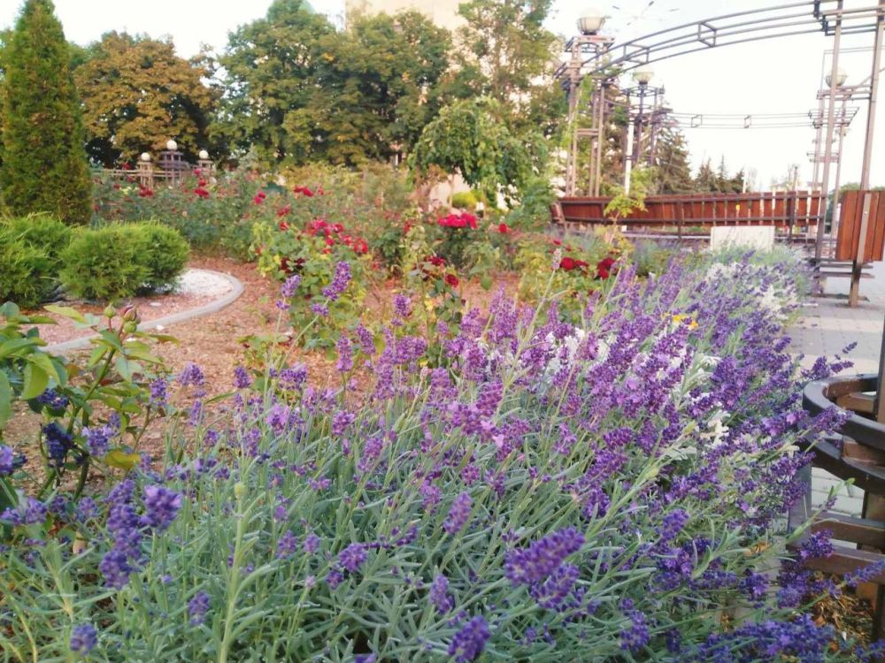 �� ����������� � �������� �� ���������� ����