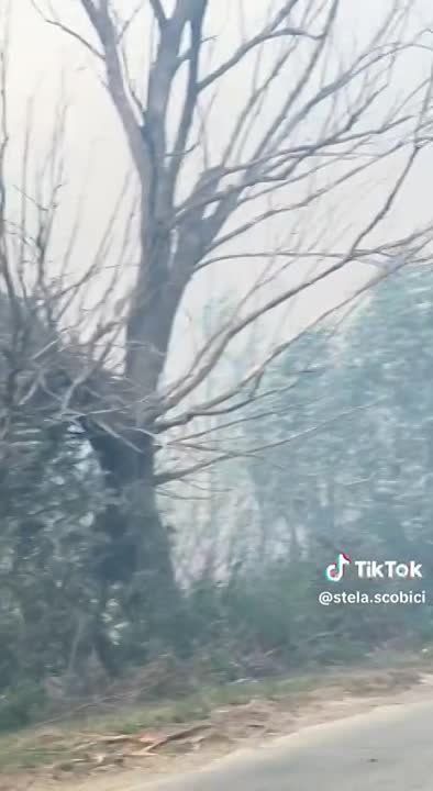 ������ ���� ������� ������������ ������ ������� ������� 45 �������� ����� �����