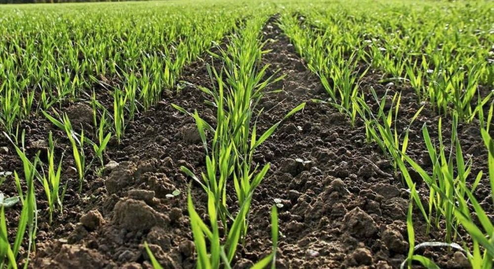 � ���������� ������������ ��� ������