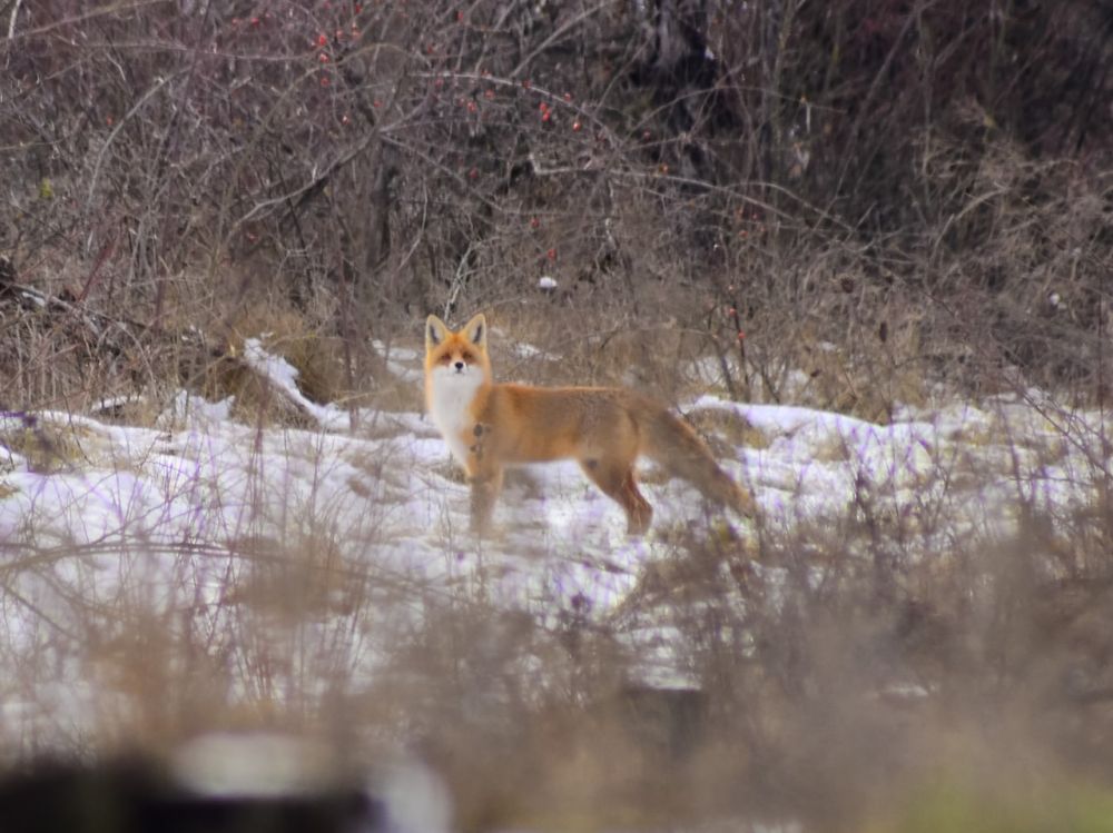 ������ ��� �� ������. ���� ��������� �������� � ��� ��� ������ ������ �������� � ���, �� ��� ������ �������, ��� � ���� ���������. ����� ���� �� ���������� ���������� � �������� � ����������������