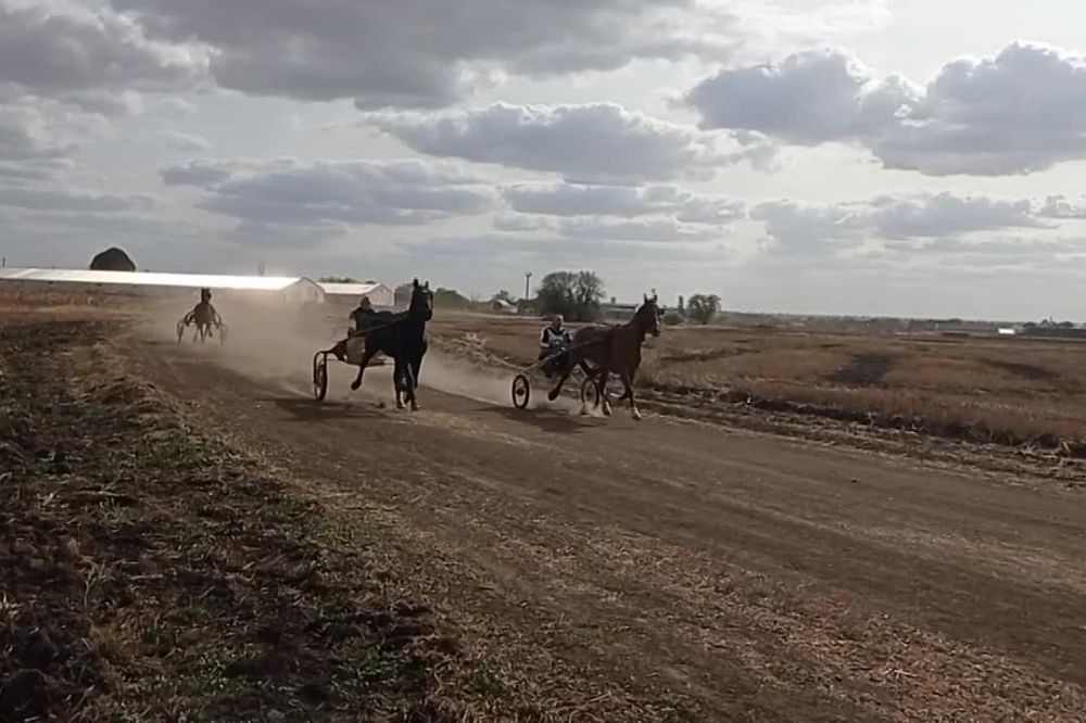 � ��������� ���� ����� ��-��� �����