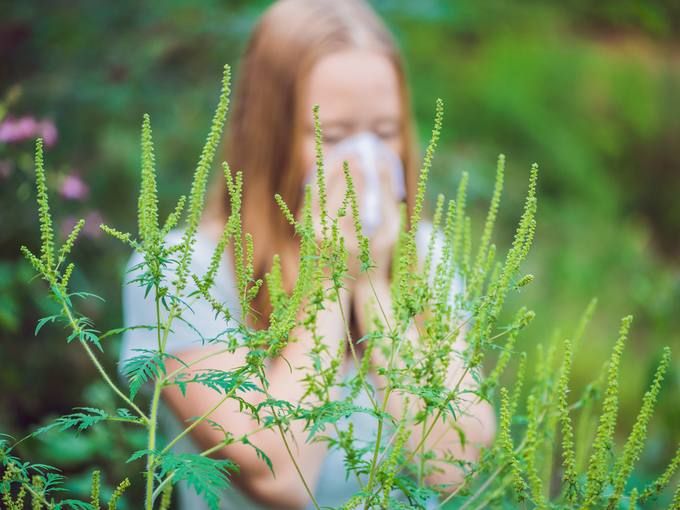 �� ������� ������ ����������� ����������������� ���������� ������������ ��������� �������� �� ������� ��������� ������������� �������� �������������� � ���������� ��� ���������� ������, �������� ���������� ���������