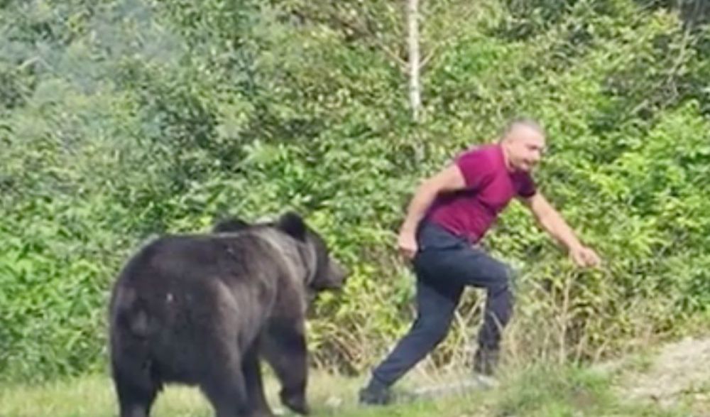 � ��������� ������ ������ ������ �������� �������� ��������� ������� � ������� ��������� ���������� � ���. ������ ������� � �������� ���� �� ����������� ���������