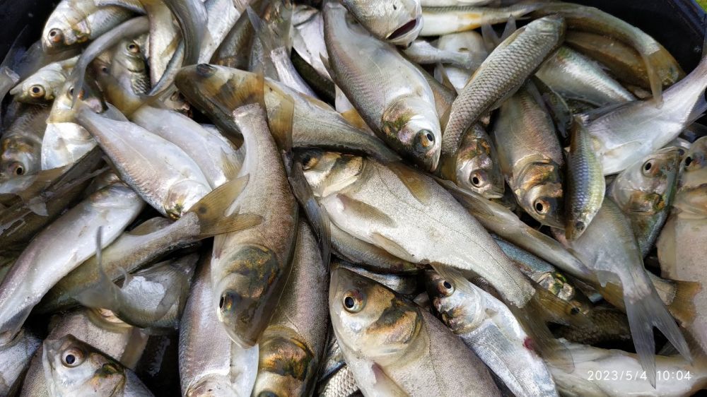 ������� ���� ����������. � ������������� ������� ������, ������� ���� ���������� ����������������� �������� ����������