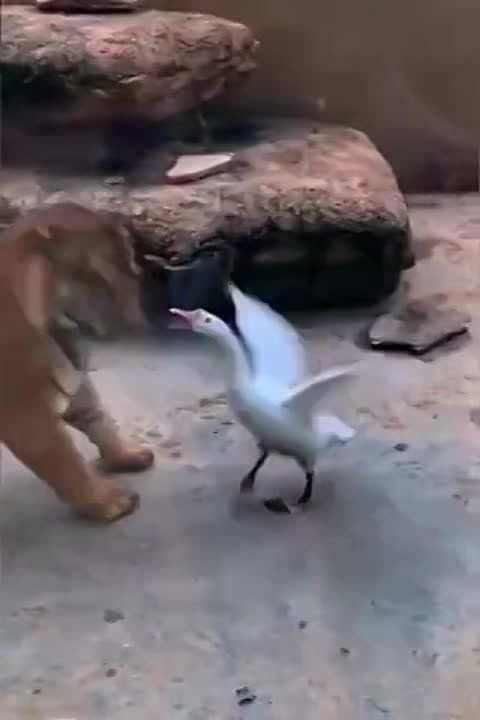 ��� ��#��� ���� �����.. ���� ������������� ��������� ���� ������