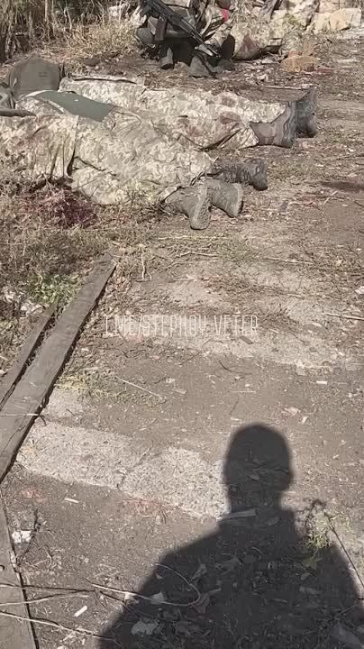 ��# ���#�� �� ���������. �� �� ���������� ������ ������ ���. ������� ����� ����� �������� ������������ ������