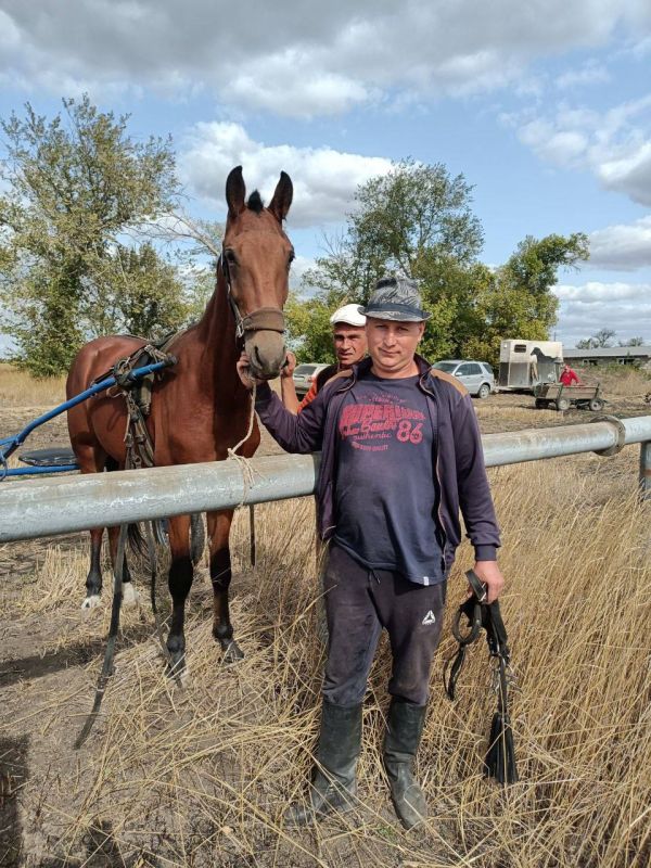 ������ ������� �������� � ��� ������� �� ������ �������, ��� ����� 2 ����