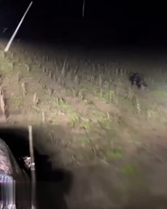 � ��� ����� ������ ������ ������������� ��������� � �������� ���� ������