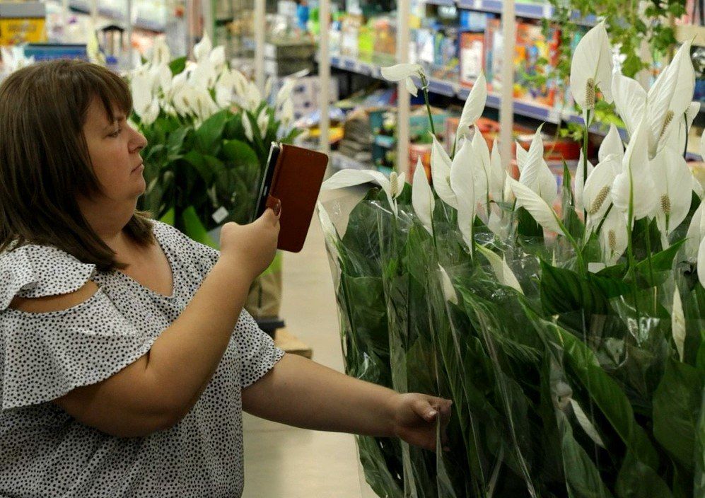 ��� ������������ ������������ ��������� ����� ������