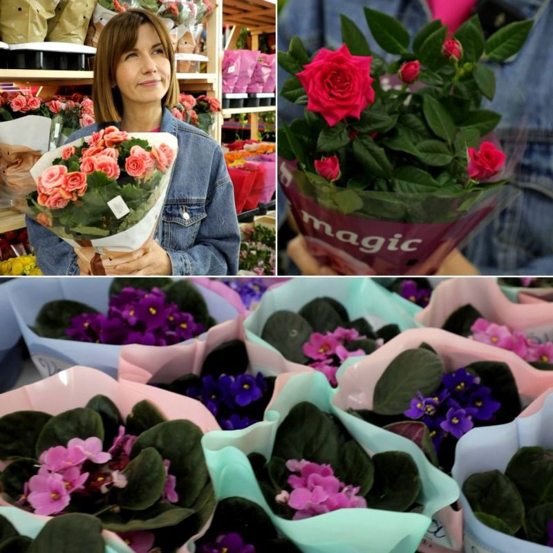 ���� � ��������. ���� � ���������, ������� � ������. ���� ������� 5 �������