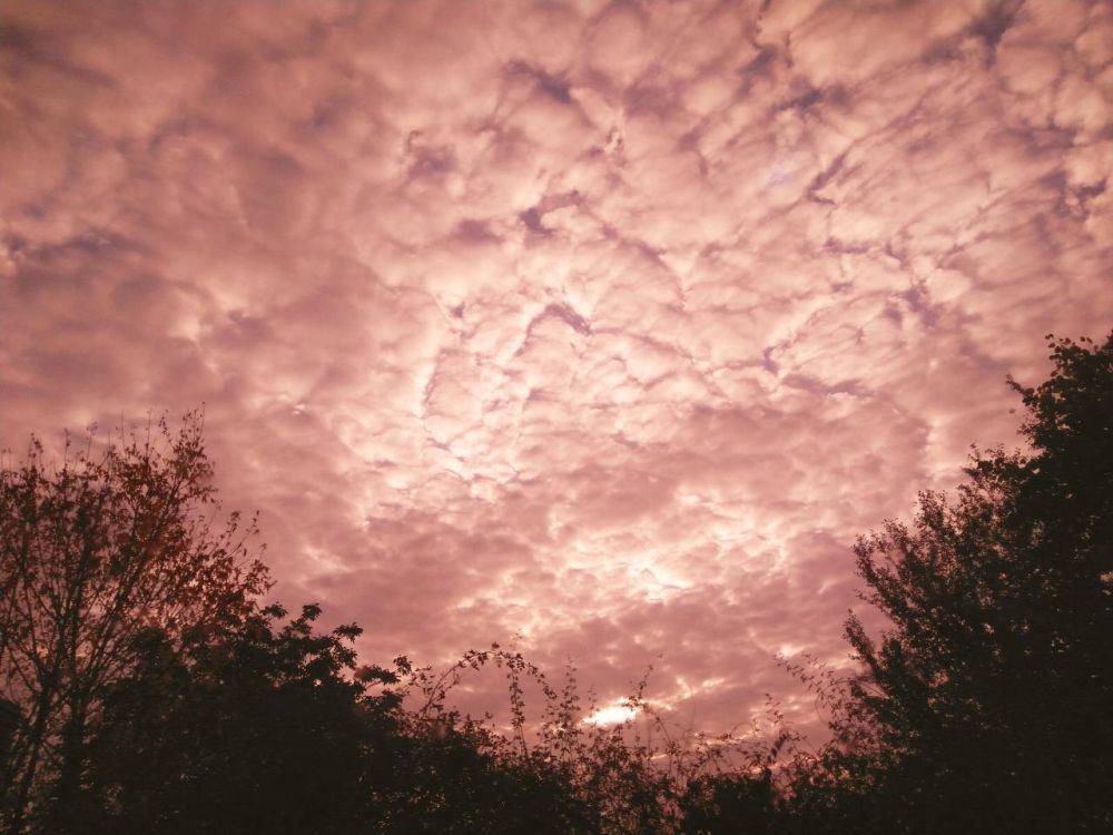 ������ ����!. ����� ������ ������� ���� ���������� �� �������! ������� ������� ��������� ���� ������