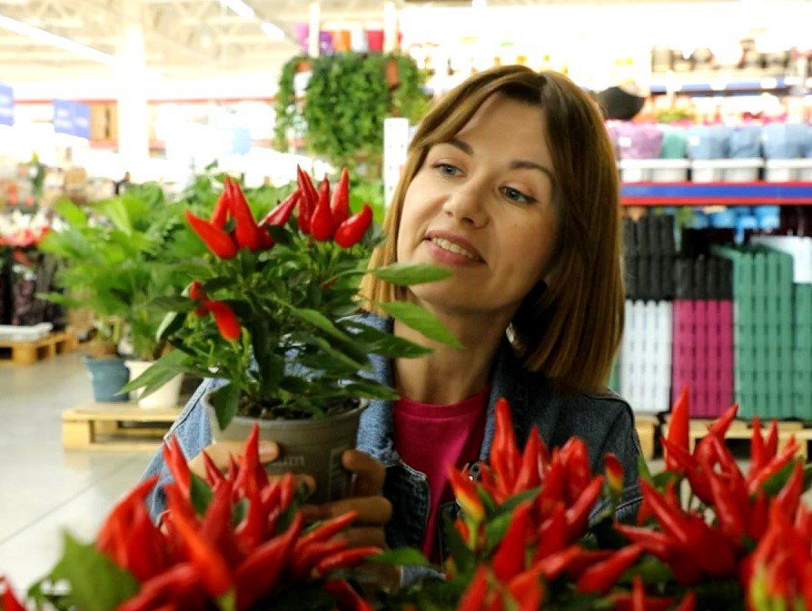 ����� � ��������� �� ��� �������