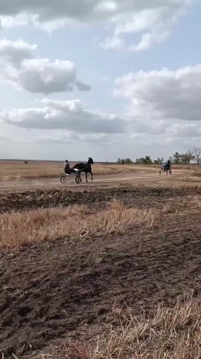 ���� ��������� ������� ������� �������� � ��������� 15 �������