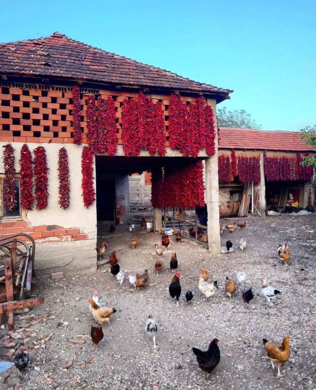 ����� ������� � ������ � ����� �������