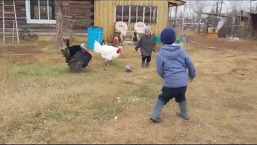 � ������ ������ ������ � ������ � ��������.