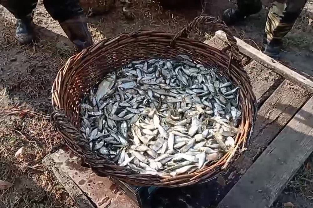 �� ����� � ������� � ��������