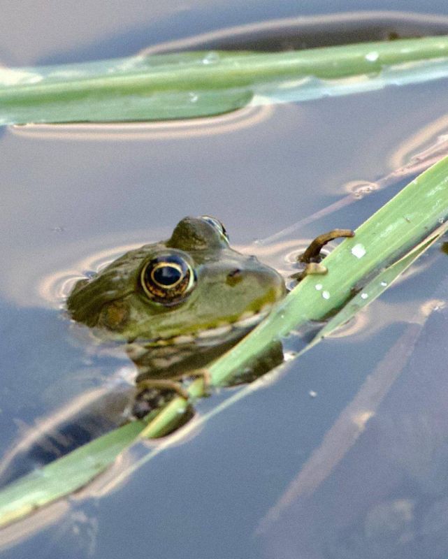 ������� - ������.. ���� ������ ����������