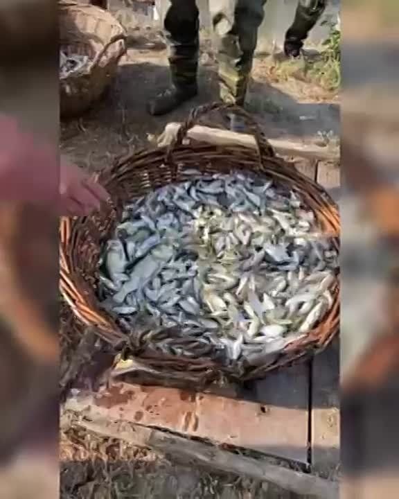 ������� ����� �����, �����, ������ � �������� ������������ ���������� � ��������