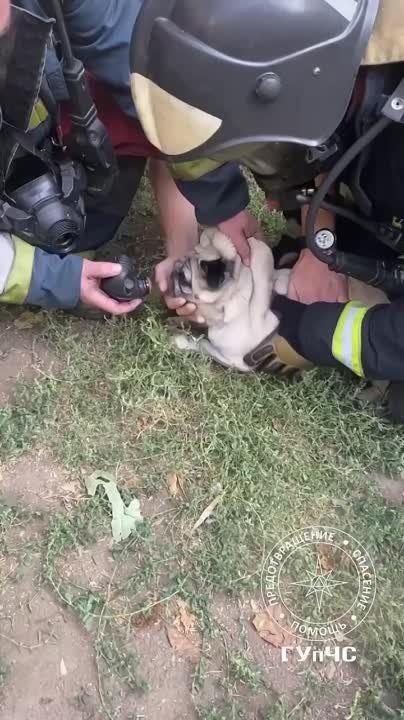 ����� � ��������. ����� ������ ����� �������� �� 4 ����� �������������� ���� �� ����� ������