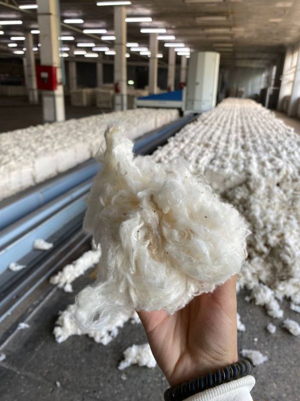 ������, �� �������� ������ ���������� �� ���������