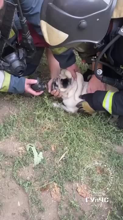 �������� ������ �����. �� ��� � ��������, ��� ��������� �����