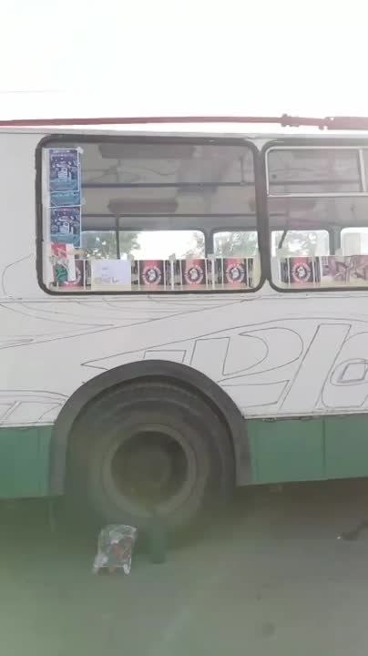 � �������� ������������� ���������� �2. �������� ���� � ������ �White Tigers�