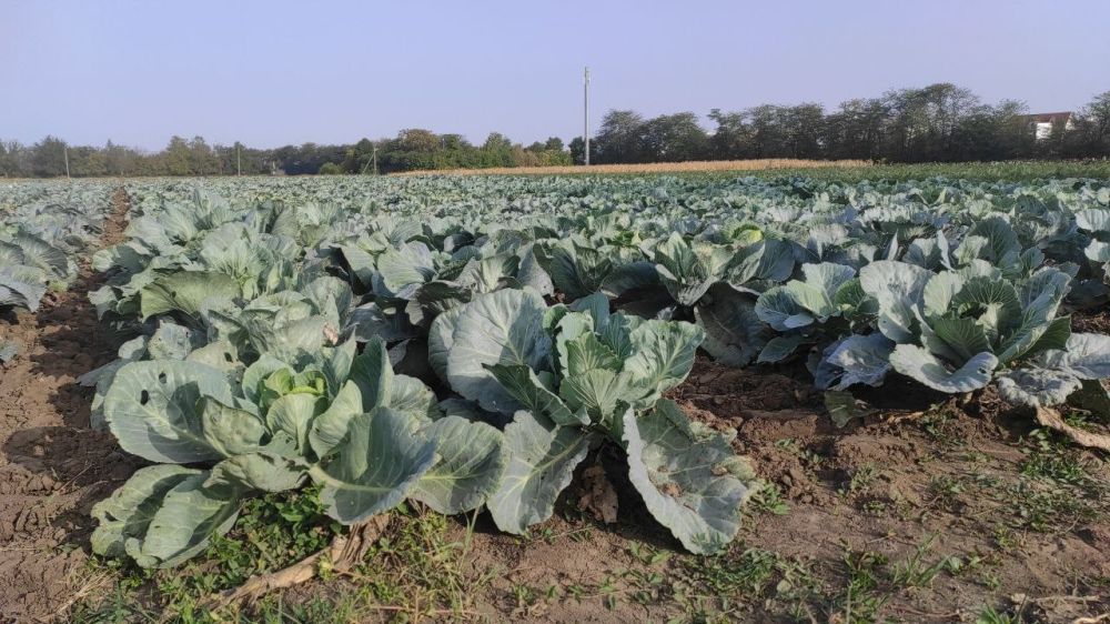 � ��� ��������� ��������� ������������ ����������� ����� �� �������