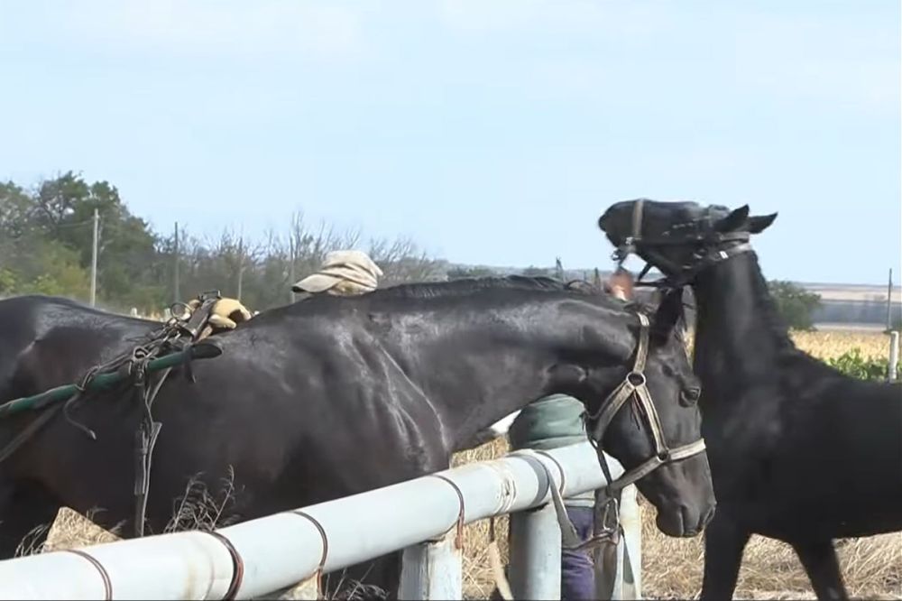 15 ������� � ��������� ������� ���� ��������� �������