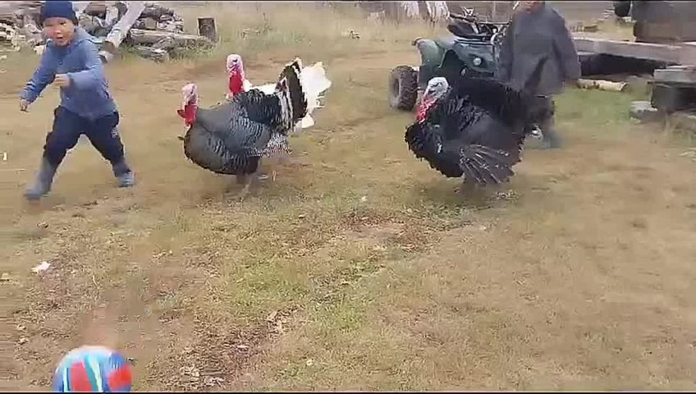 ������ ��������� � ������. ����� ����� �� �������, ���������� ����� � ������� �������