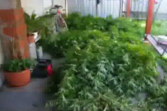 � ��������� ������ 65-������ ��������-��������� �������� ������� � ��� ������������ 241 �������� ���������.