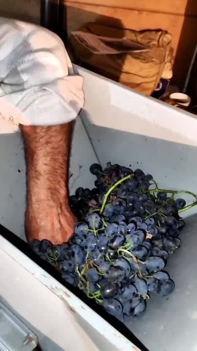 ��� ����� ������!. �������� ������� � ��������� �����������. ��� ������� ����������, ����� ���� ����������, �� ����� ����� ���� 2023, ������ ���� ����� ������� ��������� ��������� �� ���� ���������, ������������� �����!