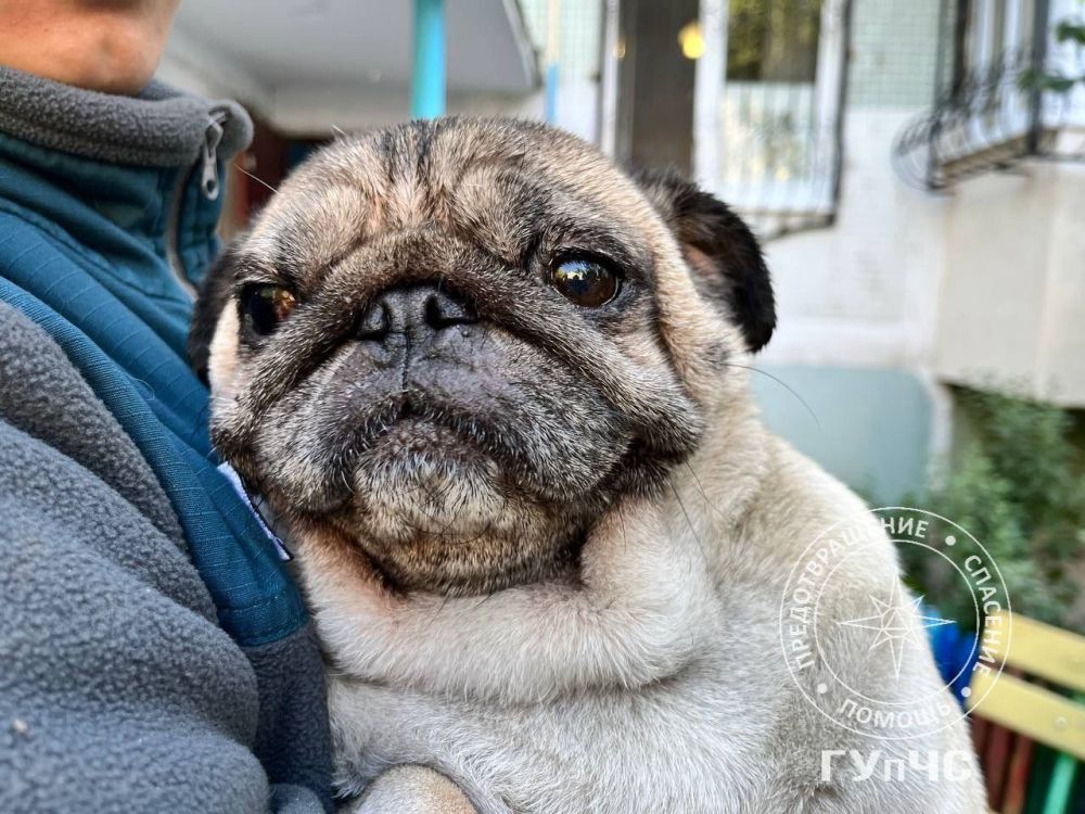 ���� ���� ����. ���� �� ������ ��� ������. ��� ������� ������ �������� � �������� ����������� ��������