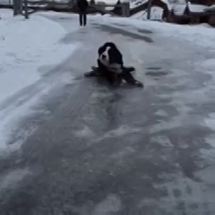 �������, ������� �� �� �����: ��� � ��� �������� � ������ ����� ����������