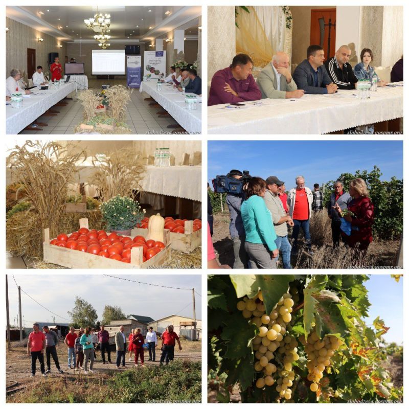 ������� ������������ � ������������ ������������ �������� �� �������� � ��������